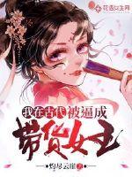 58免费小说
