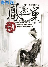 婚外迷情全文免费阅读
