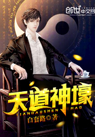 九龙至尊小说