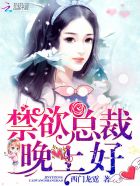 总裁别太坏