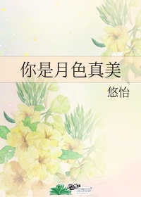 理论片线观看免费