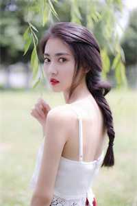 老婆与马狗驴小说