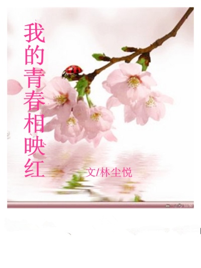 韩国伦理在线