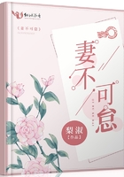 窥情无删除版在线播放