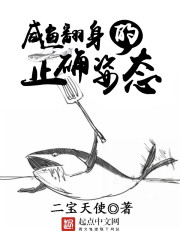 视频在线观看2024