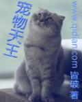 李倩和木匠老周的趣事