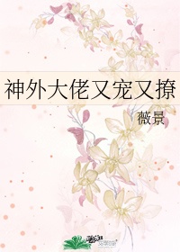 忘羡天天图