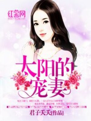 战乙女苏菲亚