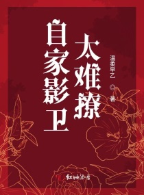 第372章进赵丽颖后门