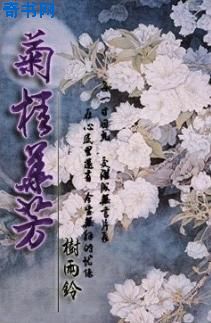 部落冲突电脑版
