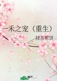 知否知否应是绿肥红瘦小说txt下载