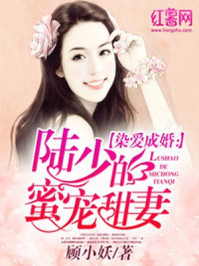 2024小明永久域名