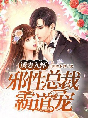 adobeair小黄油游戏