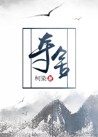 你结婚我劫婚全文免费阅读