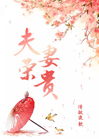 黄真伊电影