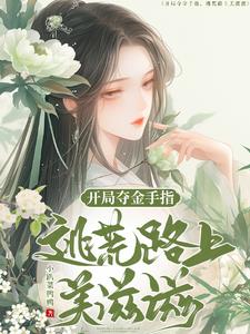 美丽的小峓子4中字巴巴鱼汤饭