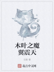 梦游仙境