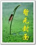 武魂小说