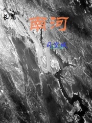 沈先生的花式调数