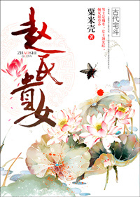 偷天换日国语