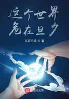 无翼鸟海贼王