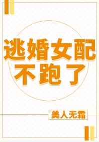 我的老婆是冰山女总裁沈浪