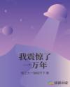 韩国不忠在线bd播放