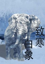 沉睡到星际时代
