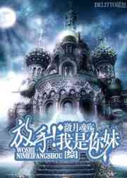 公交车肉丸