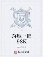 厨神小说