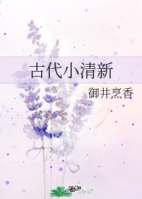 97豆奶视频