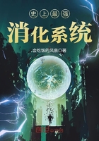 米色豆豆