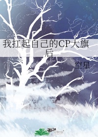 我和大婕子小说
