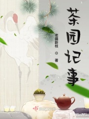 神犬小七第三季