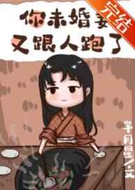 俄罗斯WIFI放大