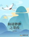 插的视频
