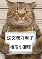 8xmv con视频免费
