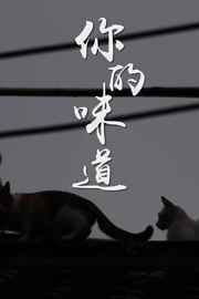 二哈和他的白猫师尊图片