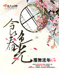 91天堂系列18在线观看