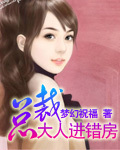 我的老婆是冰山女总裁沈浪苏若雪