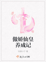 你是我的荣耀小说