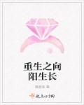 自动插拔试验机女