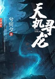 麻花传剧mv在线看高清
