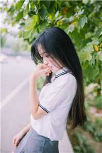 桃花岛论坛