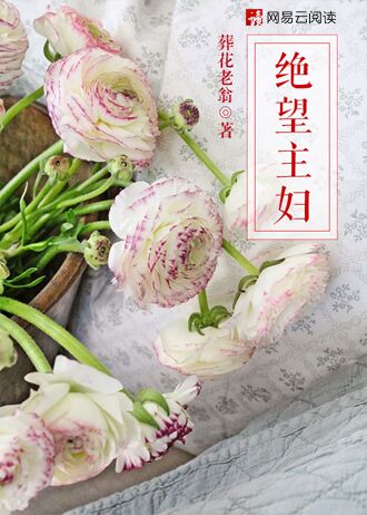 天幕红尘电视剧40集完整版免费看