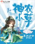报表软件