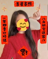 超级小村民下载