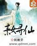 轮里片