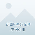塔西亚