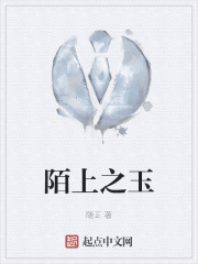 91轻量版描述文件